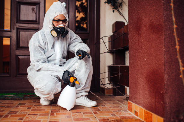Reliable Cockroach Control contractor in Sheffield, AL by Nex Pest Control